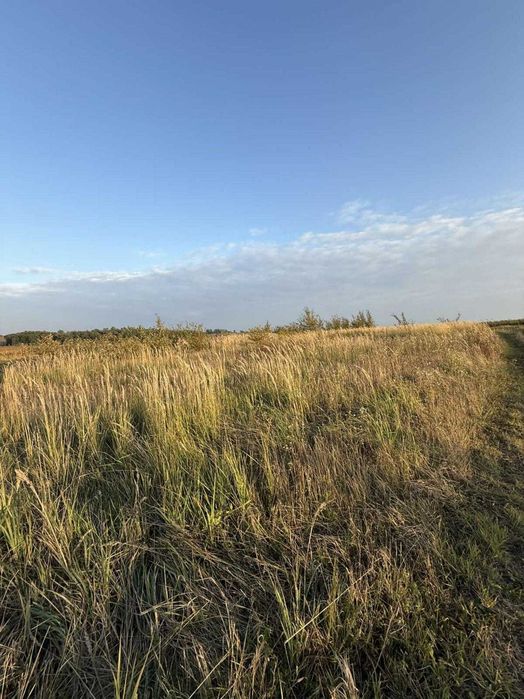 Продаж / Земля під інд. будівництво / Чижиків