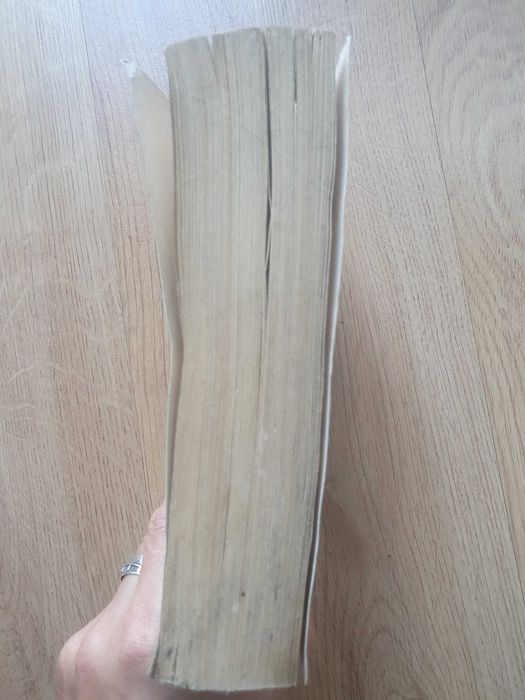Gramatyka języka polskiego Piotr Bąk