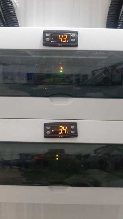 Шокова заморозка полуниці, чорниці, малини Луцьк, Шацьк, Нововолинськ