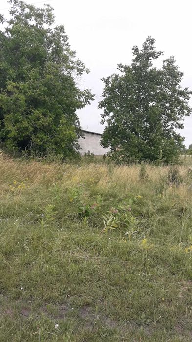 Продаж земельної ділянки в  с. Мошни, вулиця Горіхова