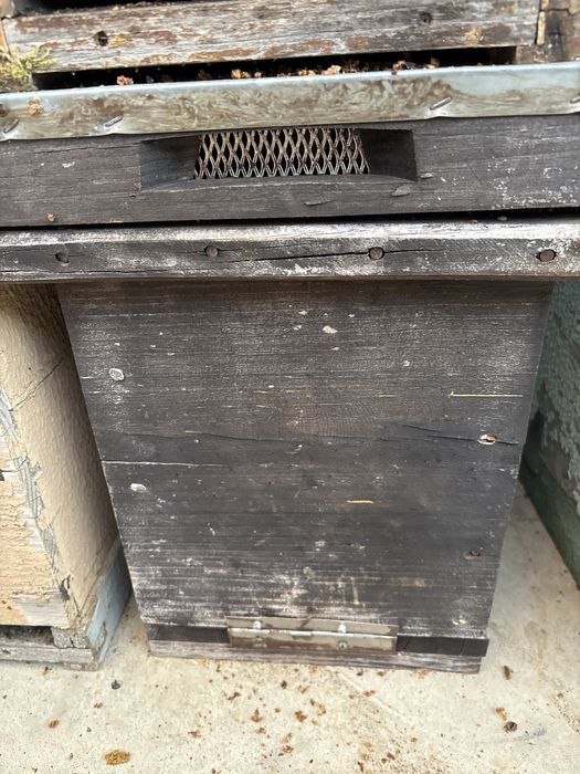 Vendemos nucleos lusitana sem quadros