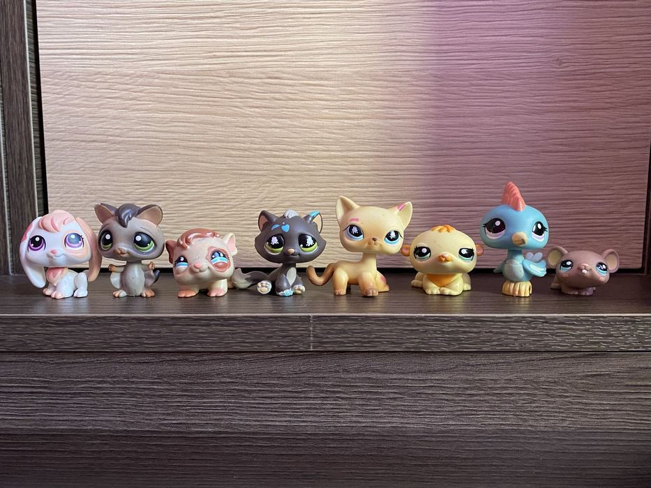 LPS Littlest pet shop zestaw pop shorthair #816