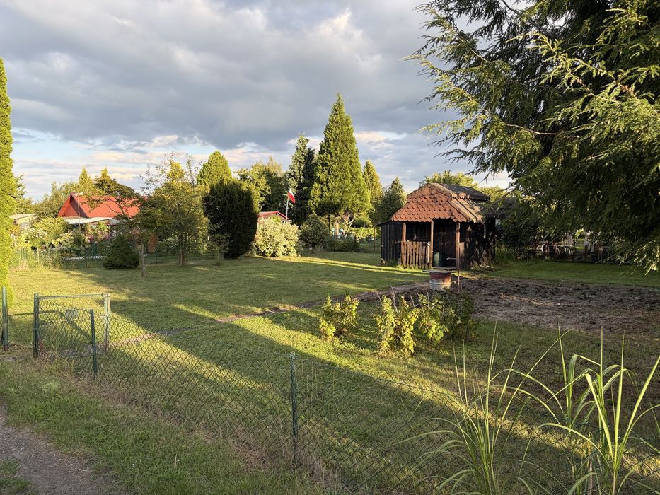 Duża dzialka rekreacyjna - ROD Powstancow Śląskich - Widok 2