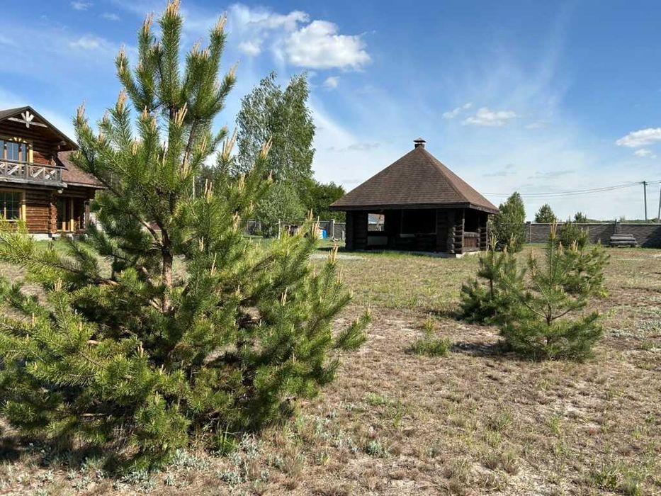 Інвестиційний майновий комплекс 1 Га з ВЛАСНИМ ОЗЕРОМ та 2 будинками | Здвижівка | серед лісу