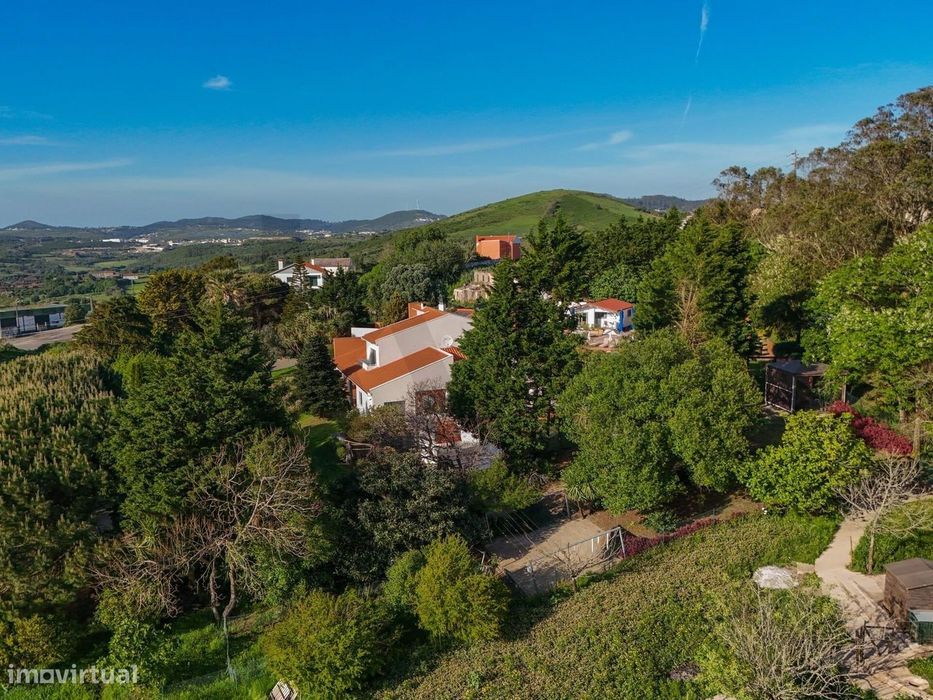 Quinta De Excelência Em Sintra — Privacidade, Conforto E Qualidade De
