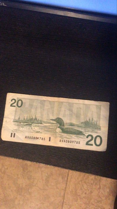 20 dólares canadianos de 1991