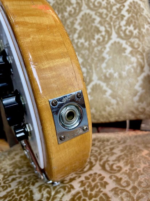 Rickenbacker 320 de 1981