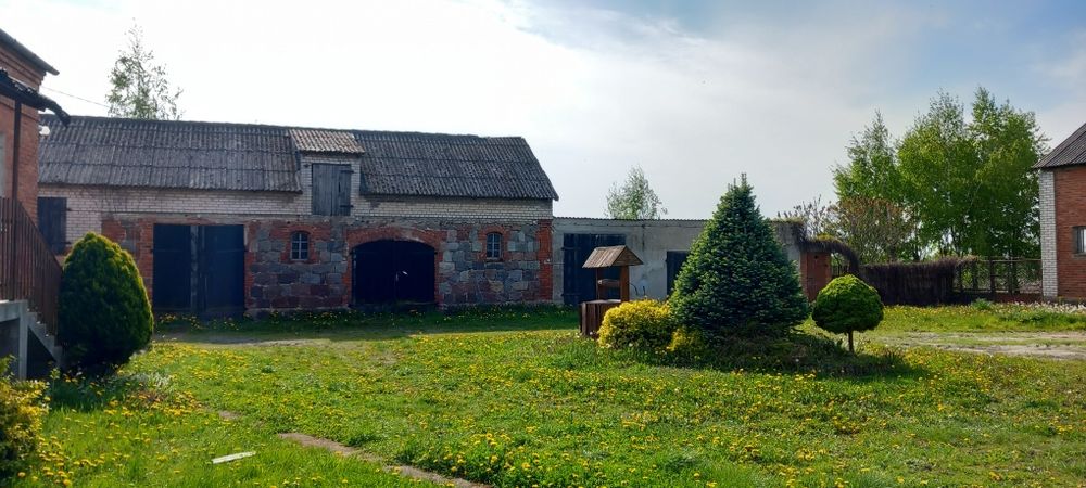 Zdjęcie 8