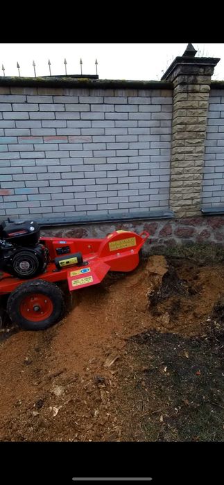 Видалити пеньок, корчування пнів, подрібнення гілок, щепування