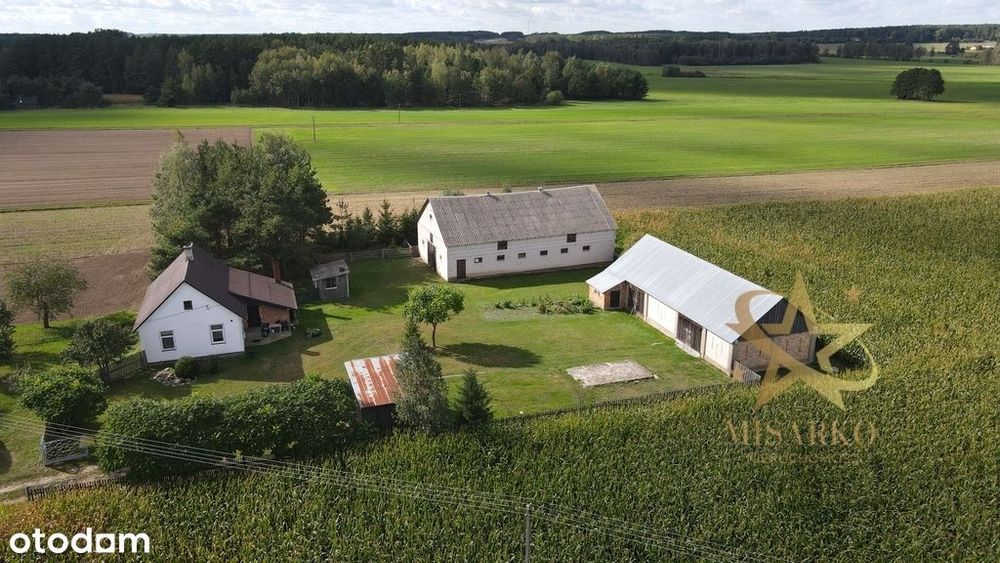 Siedlisko w Grądach gm. Knyszyn