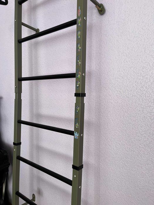 Шведская стнека Атлет