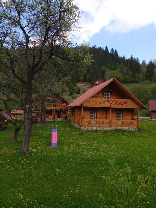 Здається котедж на три окремі номери