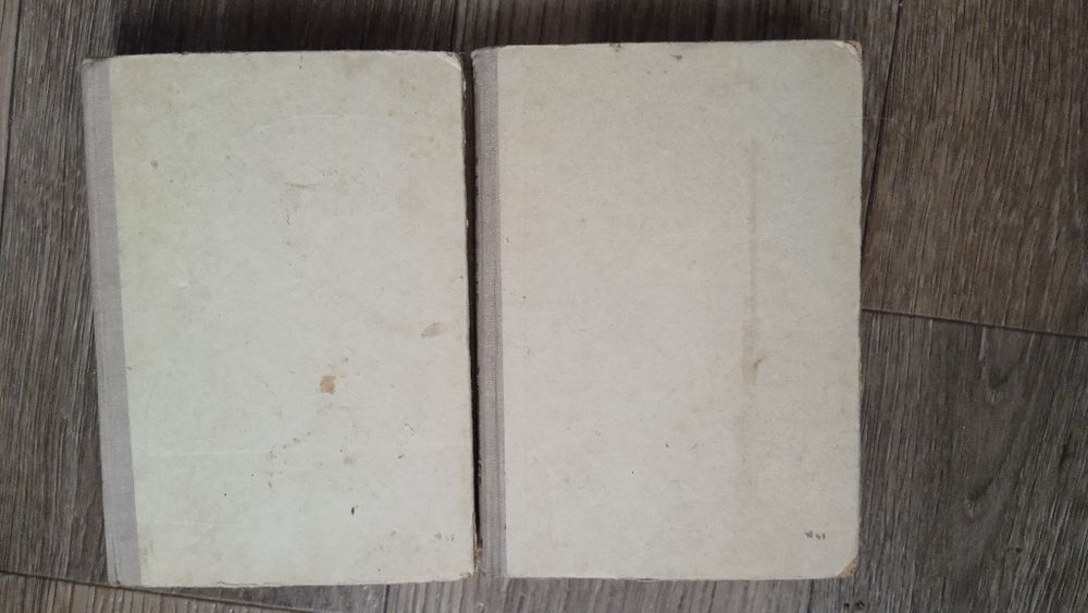 Тихий Дон из 2 книг.