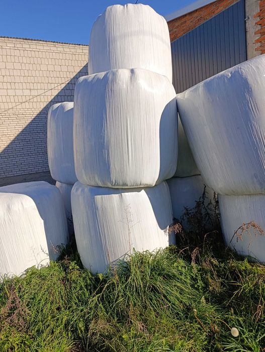 Sianokiszonka 12 sztuk 2025r