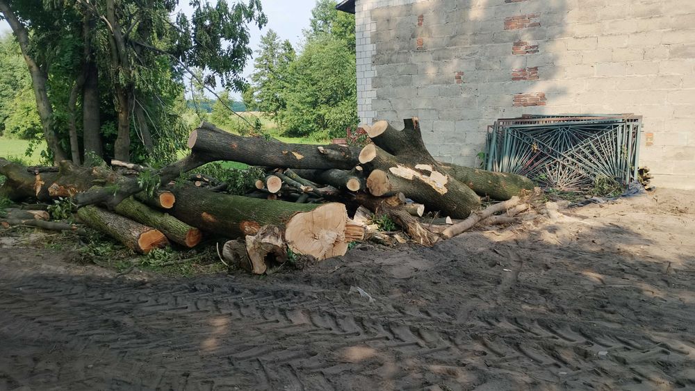 Sprzedam kłody drewna jesion oraz grusza