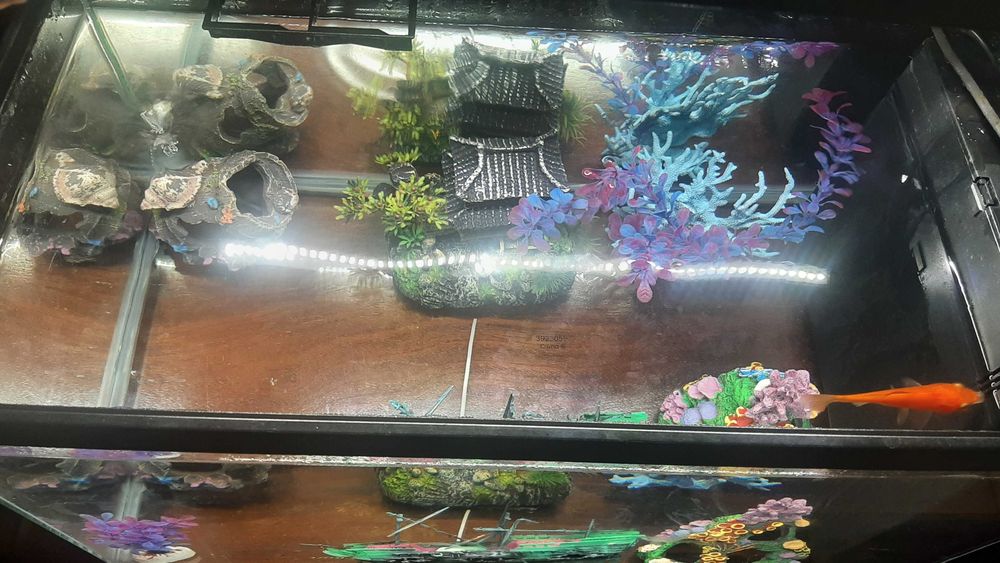 Vendo aquário com tudo incluído, bomba, aquecedor de água e cenário