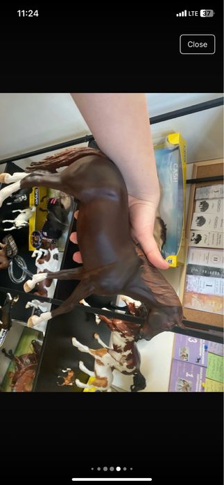 Breyer Custom Cinamoon