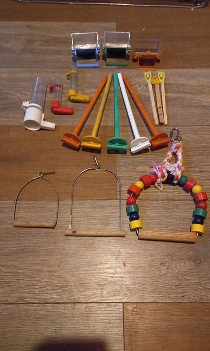 Huśtawka i karmniki ptaki