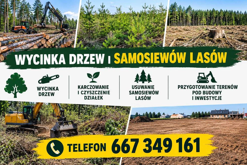 karczowanie , mulczowanie,  wycinka drzew i samosiewów, czyszczenie działek, przygotowanie terenu