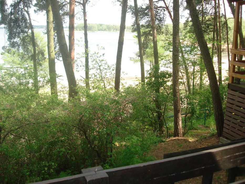 Powidz Domek Tramp do Wynajęcia 8 osobowy
