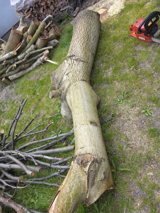 drewno z orzecha włoskiego ,orzechowe 2 m3 grube