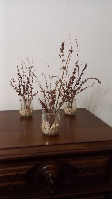 Flores naturais secas
