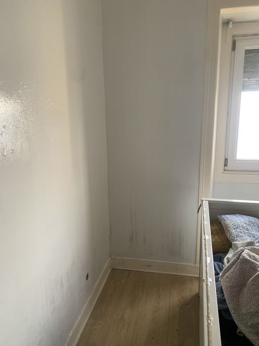 Pintura e lavagem de parede