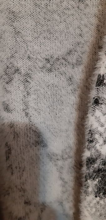 Płaszczyk klasyczny