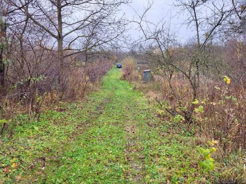 Продаж земельної ділянки під садівництво, 4сот, Малі Грибовичі