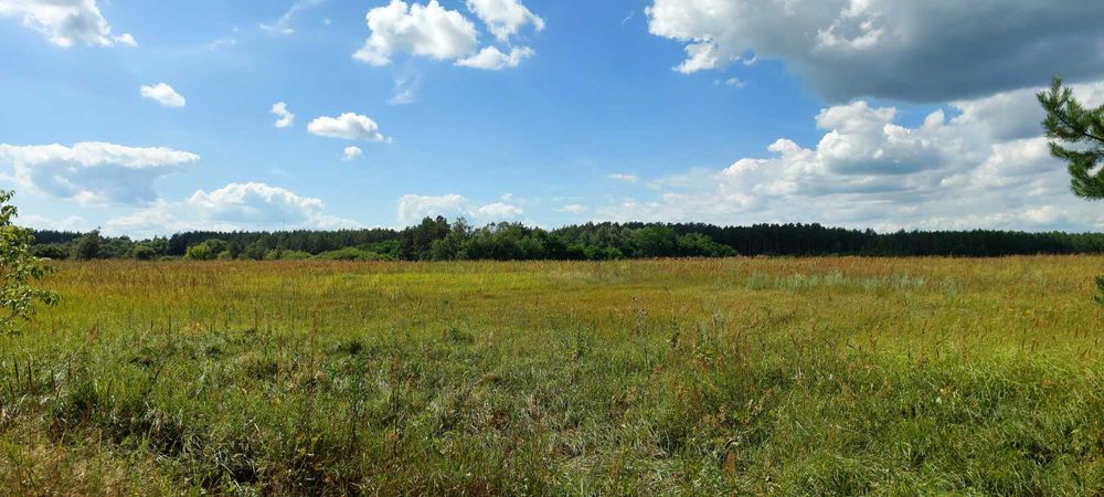 ОСГ з комунікаціями та правом власності на будівлі