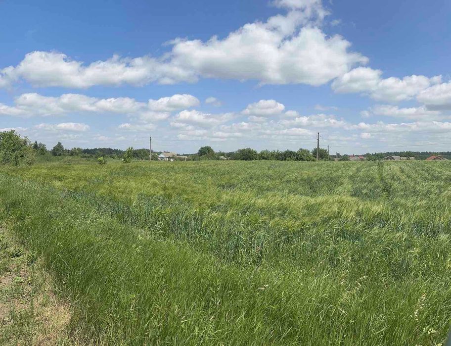 Продаж земельної ділянки, 20 соток, с. Приборівка, вул. Миру