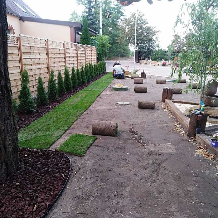 Zakładanie trawników, Pielęgnacja trawników, Wertykulacja i Aeracja