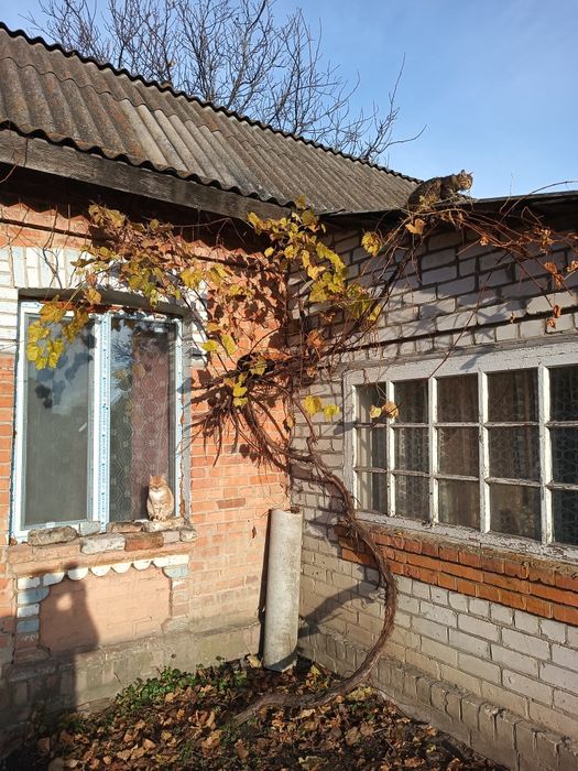 Продам будинок біля Бердичіва