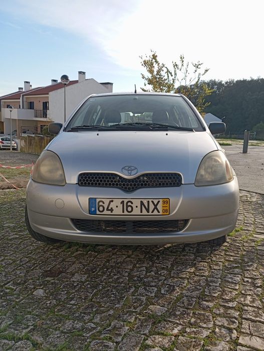 A Ginginha procura novo dono, para novas aventuras