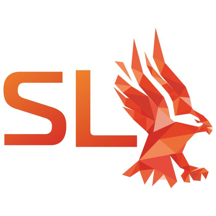 ZLECENIA PO EU/PROWADZENIE/BUSY/DO 3.5T spedycja współpraca/Licencja