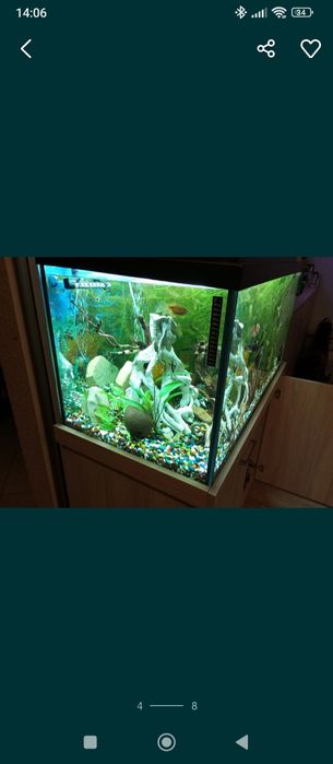 Kolorowe kamyczki do akwarium