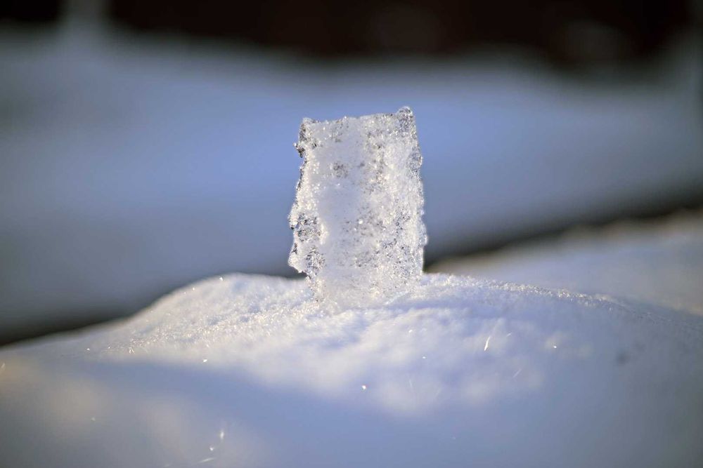 NikkorS 55/1,2 Ai надсвітлосильний вінтаж об’єктив з красивим малюнком