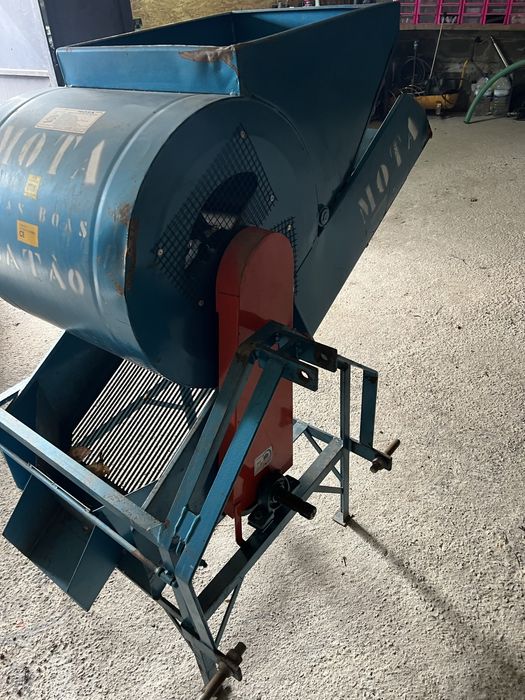 Erguedeira Azeitona MOTA