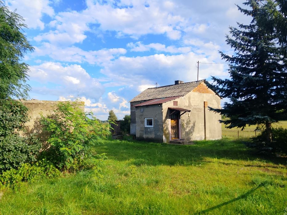 Dom – Grzegorzew - Widok 2