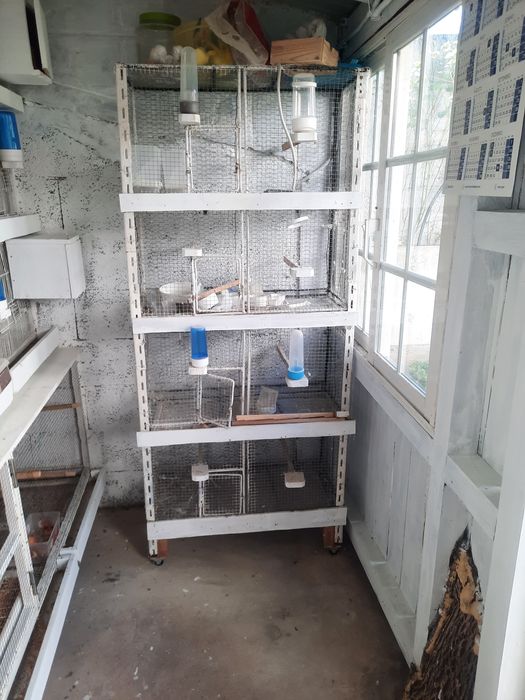 Viveiro grande para aves. Tem tabuleiros de limpar