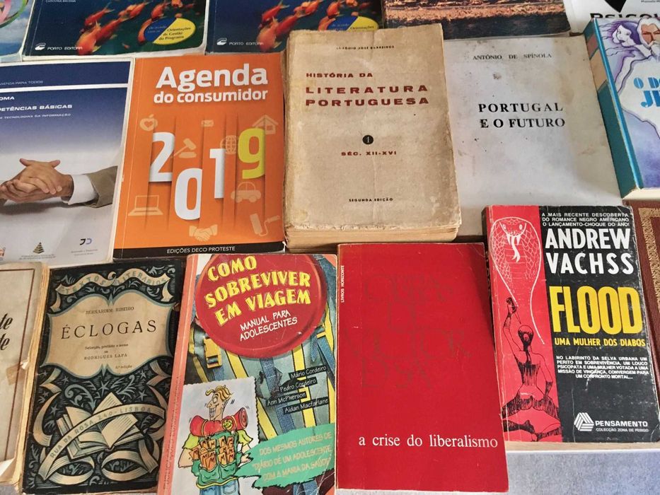 Lote de 38 livros