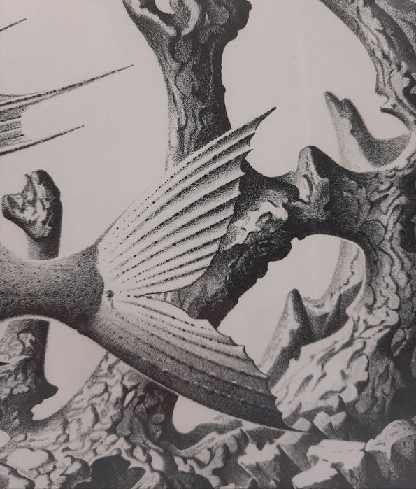 Obraz litografia Hans Joachim Zeidler ryba z uchem surrealizm 1973