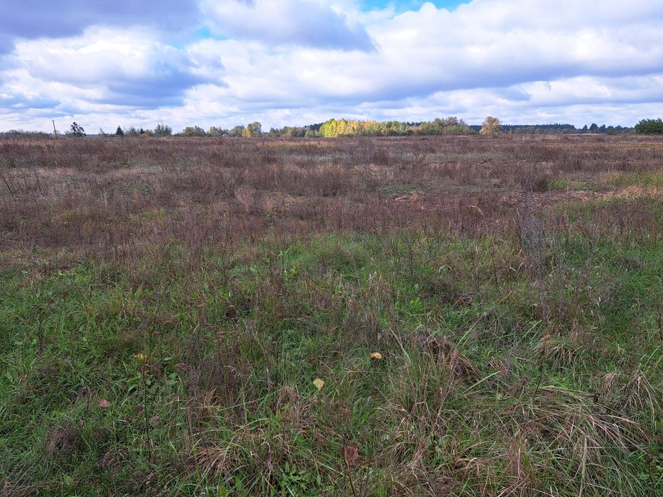 Продам земельну ділянку