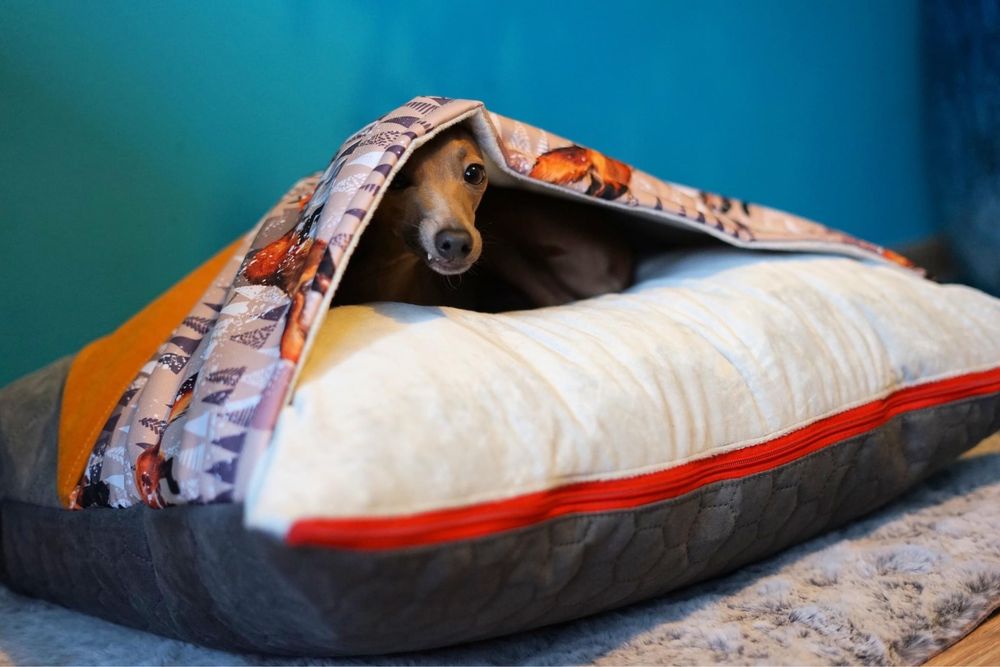 Śpiworek, poduszka, legowisko, charcik włoski, chihuahua,