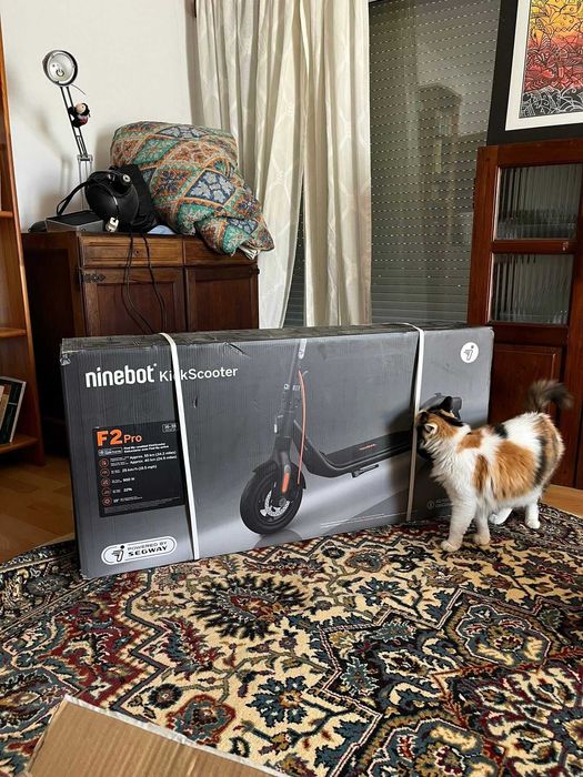 Ninebot KickScooter F2 PRO (+ Security Chain)