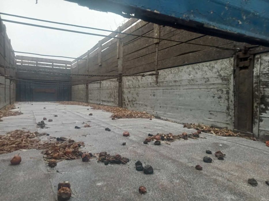 Продам напівпричіп зерновоз(буряковоз) Trailor