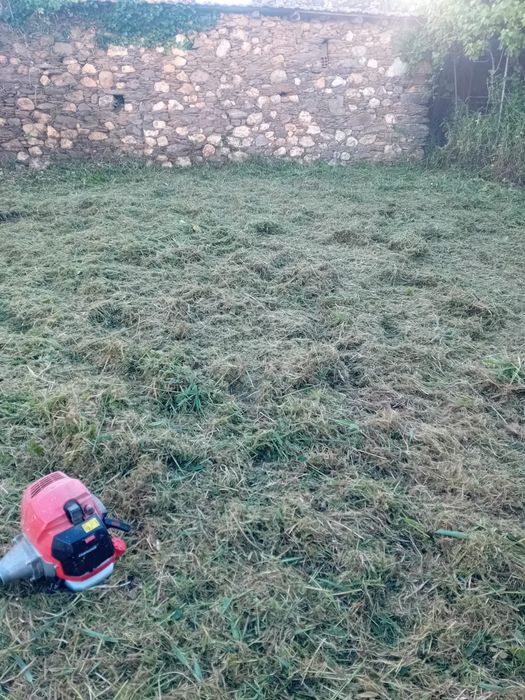 Limpezas de terrenos e podas de árvores