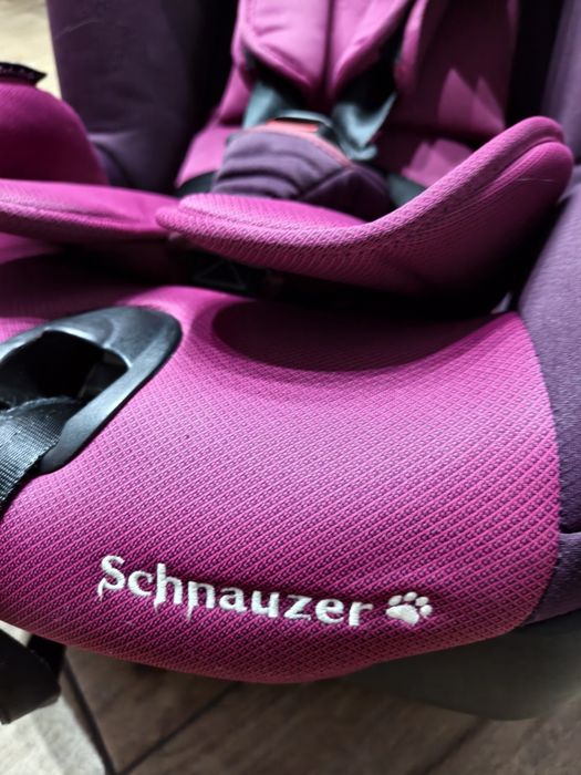 Fotelik babysafe schnauzer