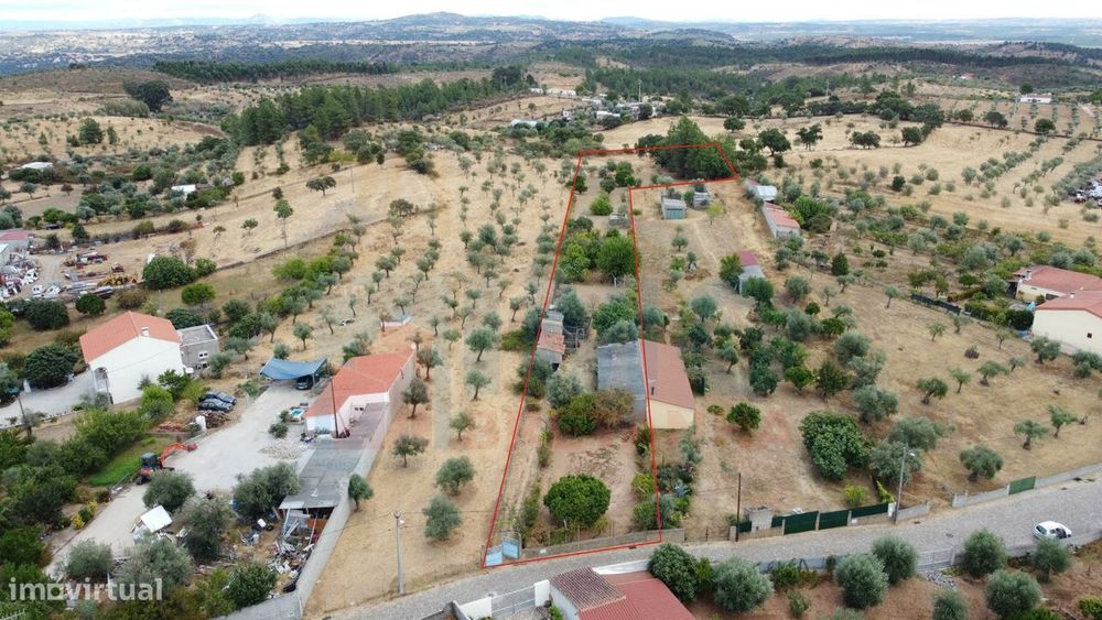 Quinta em Mata - Castelo Branco