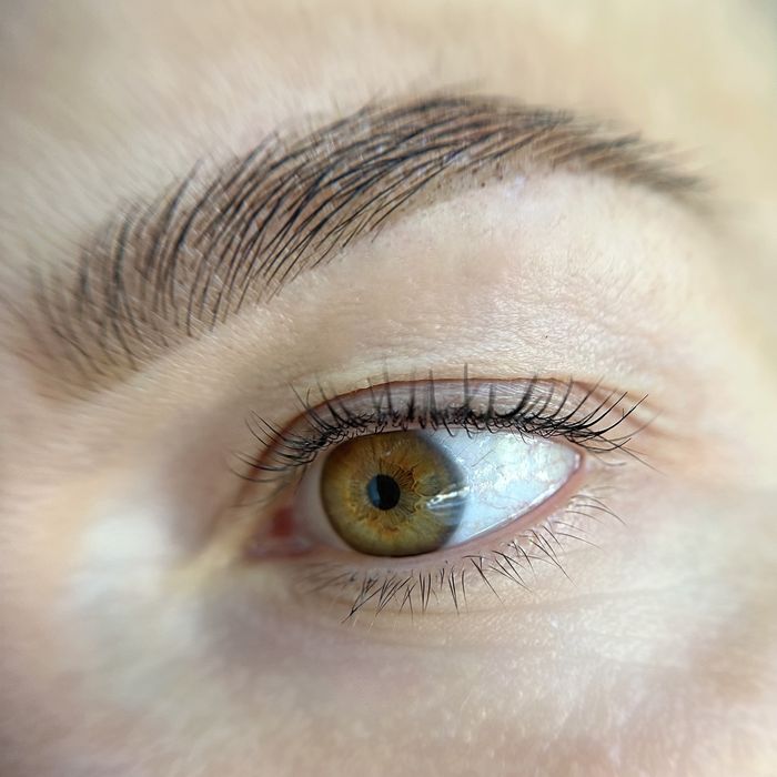 Корекція та фарбування брів. Ламінування вій.